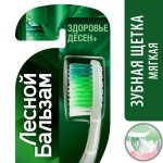 Зубная щетка, Лесной бальзам с бамбуковой солью